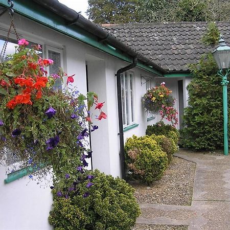 The Willow House Watton Dış mekan fotoğraf